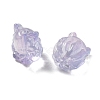 Transparent Glass Beads GLAA-D025-06J-2