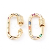 Brass Micro Pave Cubic Zirconia Screw Carabiner Lock Charms ZIRC-L093-58B-G-3