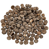 200Pcs Wood Acorn for Display Decorations AJEW-PH0008-19-1