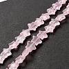 Transparent Glass Beads Strand GLAA-K057-01I-1