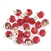 Electroplate Natural White Jade Charms X-G-S344-08G-1
