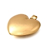 304 Stainless Steel Pendants STAS-H200-01G-05-2
