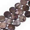 Freshwater Shell Beads Strands X-SHEL-T014-011A-1
