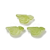 Transparent Glass Beads DGLA-E004-13F-1