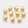 Tibetan Style Zinc Alloy Dog Paw Prints European Beads LS-MPDL-R038-008G-RS-1