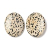 Natural Dalmatian Jasper Worry Stone for Anxiety Therapy G-B036-01J-2