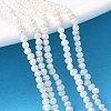 Natural Cultured Freshwater Pearl Beads Strands PEAR-I007-07B-02A-1