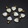 Shell Charms SSHEL-E564-26G-1