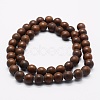 Natural Petrified Wood Beads Strands X-G-K257-05-8mm-2