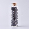 Glass Wishing Bottle DJEW-L013-A08-1