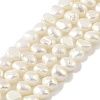 Natural Cultured Freshwater Pearl Beads Strands PEAR-A006-04H-2
