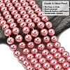 Eco-Friendly Dyed Glass Pearl Round Beads Strands HY-A002-10mm-RB109-4