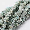 Natural Larimar Chip Bead Strands G-M298-13-1