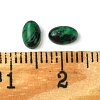 Synthetic Malachite Cabochons G-A094-01A-41-3