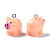 Opaque Resin Pendants RESI-S356-064-3
