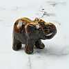 Natural Tiger Eye Home Decorations DJEW-YW0001-04A-2