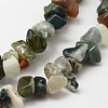 Natural Indian Agate Beads Strands G-F328-12-3