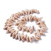 Natural Spiral Shell Beads Strands X-BSHE-I016-08-2