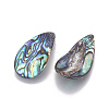 Natural Abalone Shell/Paua Shell Pendants SSHEL-F303-04-2