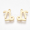 Ion Plating(IP) 304 Stainless Steel Charms X-STAS-S107-06K-1