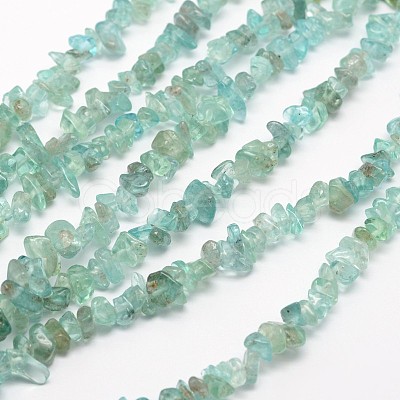 Chips Natural Apatite Beads Strands G-N0164-44-1