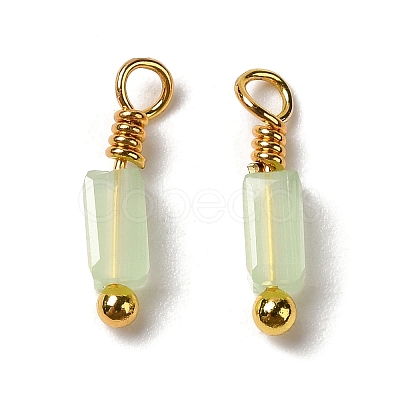Imitation Jade Glass Charms KK-P242-14G-1