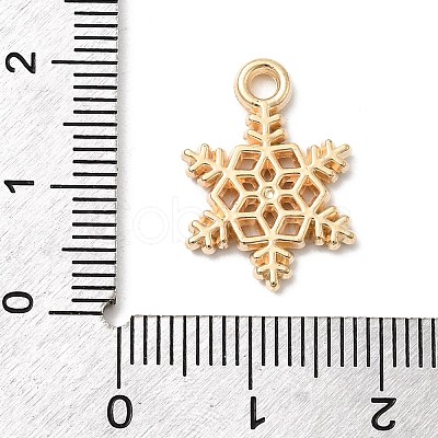 CCB Plastic Pendants CCB-I007-08KCG-1