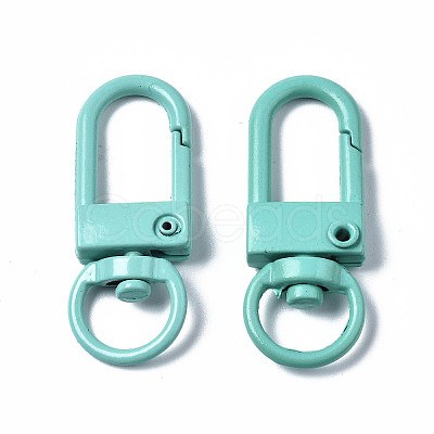 Spray Painted Eco-Friendly Alloy Swivel Snap Hooks Clasps LS-PALLOY-T080-02D-NR-1