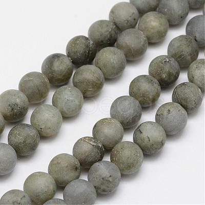 Natural Labradorite Frosted Bead Strands G-O155-04B-8mm-1