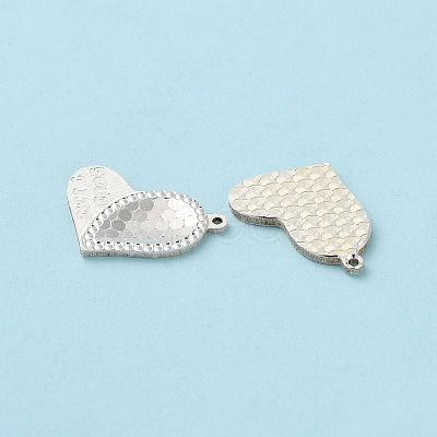 925 Sterling Silver Charms STER-C004-07S-1