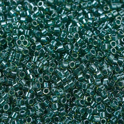 MIYUKI Delica Beads SEED-J020-DB0919-1