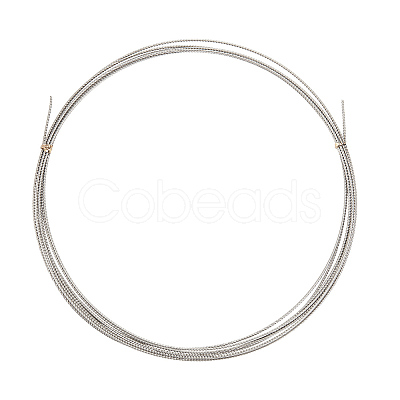 430 Stainless Steel Wire TWIR-WH0008-02P-1