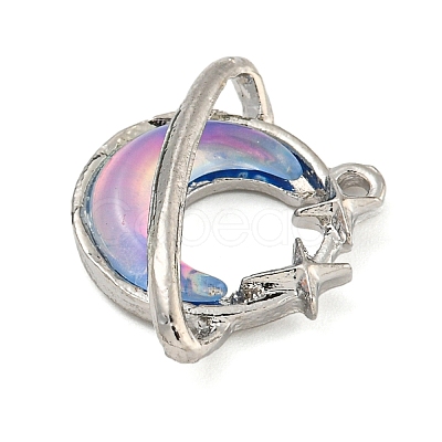 Alloy & Resin Pendants FIND-G508-02A-02-1