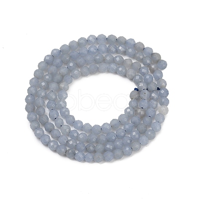 Natural Angelite Beads Strands G-Z079-A01-02-1