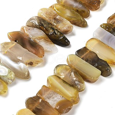 Natural Botswana Agate Beads Strands G-L551B-15-1