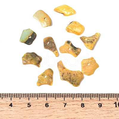 Dyed Natural Mother of Pearl Shell Nuggets Chips Beads BSHE-O007-10C-1