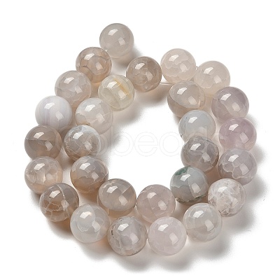 Dyed Natural Agate Beads Strands G-G175-A13-01-1