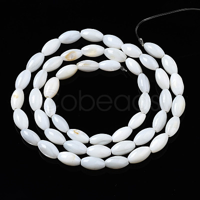 Natural Freshwater Shell Beads Strands SHEL-Q024-021-1