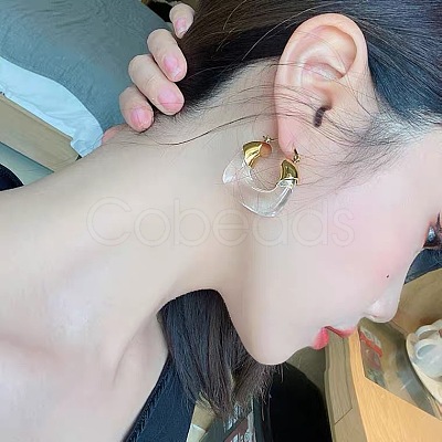 Retro Alloy Resin U-Shaped Hoop Earrings FS-WG1DDE7-01-1