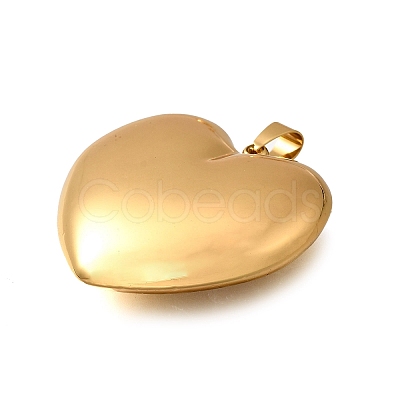 304 Stainless Steel Pendants STAS-H200-01G-05-1