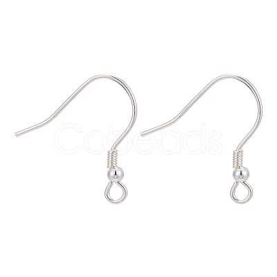 925 Sterling Silver Earring Hooks STER-M031-02S-1
