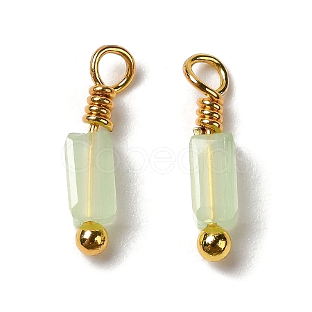 Imitation Jade Glass Charms KK-P242-14G-1