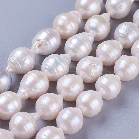 Natural Cultured Freshwater Pearl Beads Strands PEAR-F010-13-1