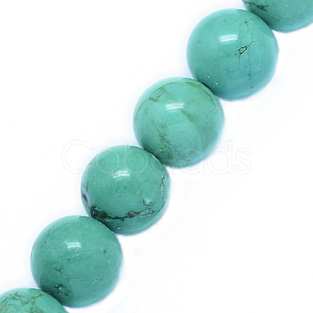 Natural Howlite Beads Strands TURQ-P027-32-12mm-1