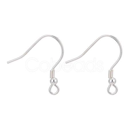 925 Sterling Silver Earring Hooks STER-M031-02S-1
