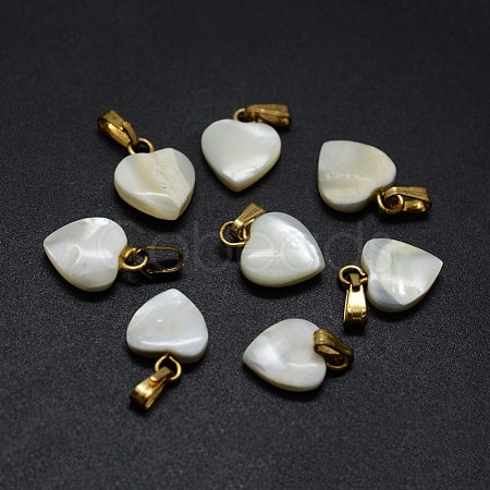 Shell Charms SSHEL-E564-26G-1