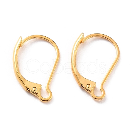 Ion Plating(IP) 304 Stainless Steel Leverback Earring Findings X-STAS-K233-04G-01-1