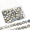 4 Strands Shell Beads Strands SHEL-SC0001-66-1