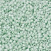 MIYUKI Delica Beads X-SEED-J020-DB1506-3