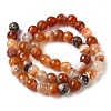 Dyed & Heated Natural Fire Crackle Agate Beads Strands G-P539-B01-19-3